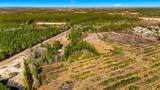 Acreage Highway 45 - Photo 5