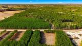 Acreage Highway 45 - Photo 6