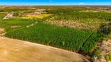 Acreage Highway 45 - Photo 8
