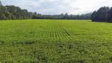 TBD 37 Acres Highway 9 W - Photo 21