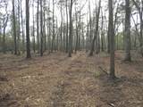301 Bella Rd. - Photo 10