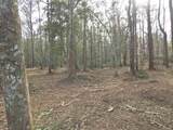 301 Bella Rd. - Photo 12