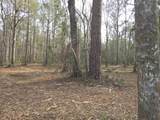 301 Bella Rd. - Photo 13
