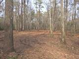 301 Bella Rd. - Photo 6
