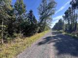 TBD Highway 701 South - Photo 6