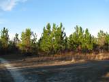 0 Gully Branch Rd. - Photo 10