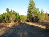 0 Gully Branch Rd. - Photo 13