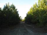 0 Gully Branch Rd. - Photo 18