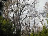 0 Gully Branch Rd. - Photo 19