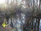 0 Gully Branch Rd. - Photo 21