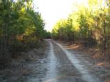 0 Gully Branch Rd. - Photo 24