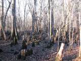0 Gully Branch Rd. - Photo 26