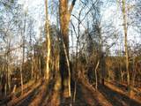 0 Gully Branch Rd. - Photo 28
