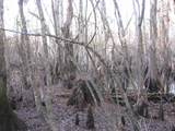 0 Gully Branch Rd. - Photo 30