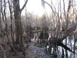 0 Gully Branch Rd. - Photo 33