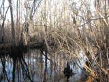 0 Gully Branch Rd. - Photo 34