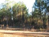 0 Gully Branch Rd. - Photo 5