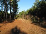 0 Gully Branch Rd. - Photo 6
