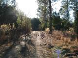 0 Gully Branch Rd. - Photo 7