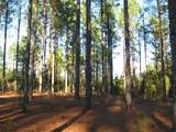 0 Gully Branch Rd. - Photo 8