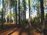 0 Gully Branch Rd. - Photo 9