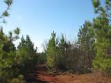 0 Buckhead Rd. - Photo 29