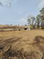 4340 Highway 76 - Photo 7
