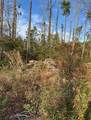 TBD Bucksville Dr. - Photo 5