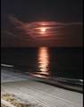 1605 Ocean Blvd. - Photo 34