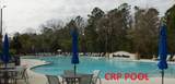 568 Chamberlin Rd. - Photo 8
