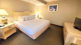 1501 Ocean Blvd. - Photo 10