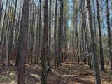 31.40 Acres-TBD Pennyroyal Rd. - Photo 10