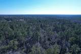 31.40 Acres-TBD Pennyroyal Rd. - Photo 19