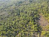 TBD Sugar Bowl Ln. - Photo 2