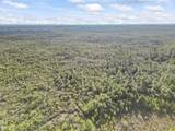 TBD Sugar Bowl Ln. - Photo 3