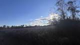 10.79 acres Highway 90 - Photo 4