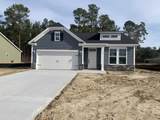 268 Palmetto Sand Loop - Photo 1