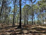 Lot 6 - TBD Old Camp Ln. - Photo 2