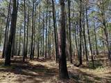Lot 6 - TBD Old Camp Ln. - Photo 4