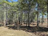 Lot 6 - TBD Old Camp Ln. - Photo 8