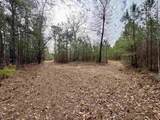 106.6 Acres-TBD Highway 52 - Photo 10