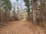 106.6 Acres-TBD Highway 52 - Photo 11