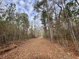 106.6 Acres-TBD Highway 52 - Photo 12
