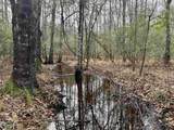 106.6 Acres-TBD Highway 52 - Photo 13