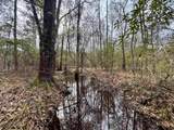 106.6 Acres-TBD Highway 52 - Photo 14