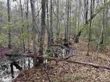 106.6 Acres-TBD Highway 52 - Photo 15