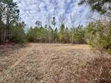 106.6 Acres-TBD Highway 52 - Photo 17