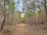 106.6 Acres-TBD Highway 52 - Photo 18
