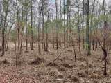 106.6 Acres-TBD Highway 52 - Photo 20