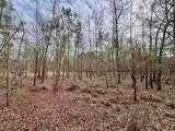 106.6 Acres-TBD Highway 52 - Photo 21